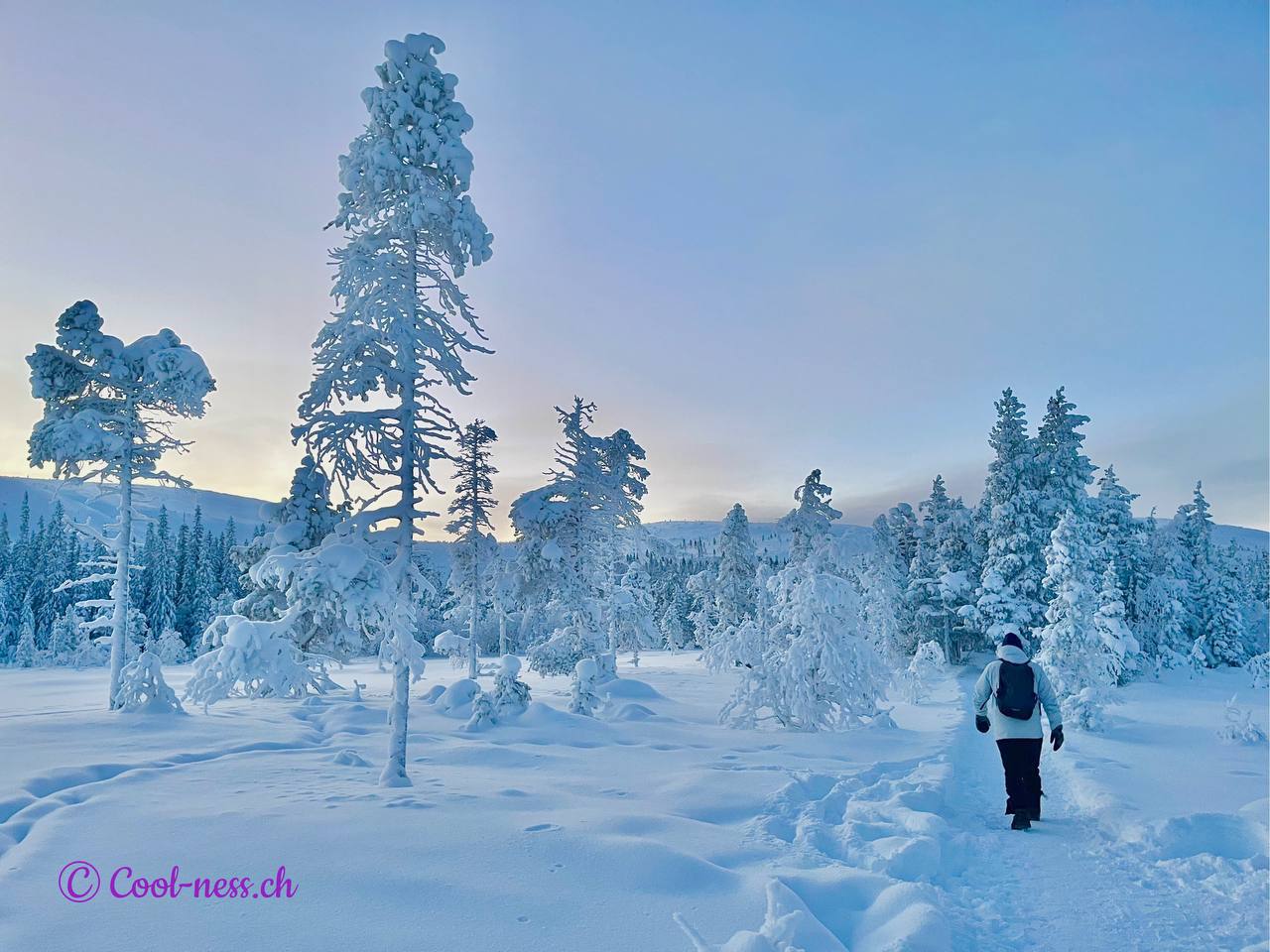 Voyage en Suède — immersion nordique, nature, froid progressif